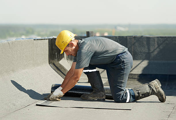 Best Insulation Maintenance and Repair in Elk Plain, WA